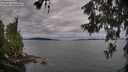 ./images/koeye/fitz-hugh/20260608/fitz-hugh20260608_083002M.jpg