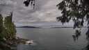 ./images/koeye/fitz-hugh/20260608/fitz-hugh20260608_083501M.jpg