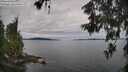 ./images/koeye/fitz-hugh/20260608/fitz-hugh20260608_085001M.jpg