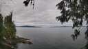 ./images/koeye/fitz-hugh/20260608/fitz-hugh20260608_090002M.jpg