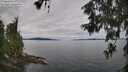 ./images/koeye/fitz-hugh/20260608/fitz-hugh20260608_090501M.jpg