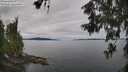 ./images/koeye/fitz-hugh/20260608/fitz-hugh20260608_091501M.jpg