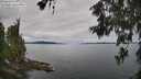 ./images/koeye/fitz-hugh/20260608/fitz-hugh20260608_092501M.jpg