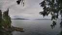 ./images/koeye/fitz-hugh/20260608/fitz-hugh20260608_095502M.jpg