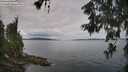 ./images/koeye/fitz-hugh/20260608/fitz-hugh20260608_101001M.jpg