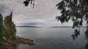 ./images/koeye/fitz-hugh/20260608/fitz-hugh20260608_101501M.jpg