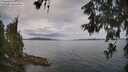 ./images/koeye/fitz-hugh/20260608/fitz-hugh20260608_102501M.jpg
