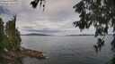 ./images/koeye/fitz-hugh/20260608/fitz-hugh20260608_103002M.jpg