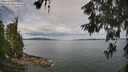 ./images/koeye/fitz-hugh/20260608/fitz-hugh20260608_104001M.jpg