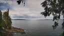./images/koeye/fitz-hugh/20260608/fitz-hugh20260608_104501M.jpg