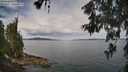 ./images/koeye/fitz-hugh/20260608/fitz-hugh20260608_105001M.jpg
