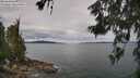 ./images/koeye/fitz-hugh/20260608/fitz-hugh20260608_113001M.jpg