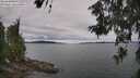 ./images/koeye/fitz-hugh/20260608/fitz-hugh20260608_120001M.jpg