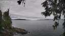 ./images/koeye/fitz-hugh/20260608/fitz-hugh20260608_123001M.jpg