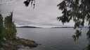 ./images/koeye/fitz-hugh/20260608/fitz-hugh20260608_123501M.jpg