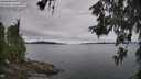 ./images/koeye/fitz-hugh/20260608/fitz-hugh20260608_124001M.jpg