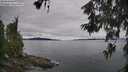 ./images/koeye/fitz-hugh/20260608/fitz-hugh20260608_125001M.jpg