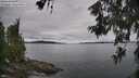 ./images/koeye/fitz-hugh/20260608/fitz-hugh20260608_130001M.jpg