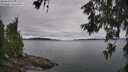 ./images/koeye/fitz-hugh/20260608/fitz-hugh20260608_130501M.jpg