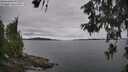 ./images/koeye/fitz-hugh/20260608/fitz-hugh20260608_131501M.jpg