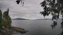 ./images/koeye/fitz-hugh/20260608/fitz-hugh20260608_133502M.jpg
