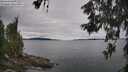 ./images/koeye/fitz-hugh/20260608/fitz-hugh20260608_134001M.jpg