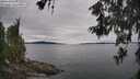 ./images/koeye/fitz-hugh/20260608/fitz-hugh20260608_134502M.jpg
