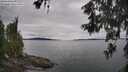 ./images/koeye/fitz-hugh/20260608/fitz-hugh20260608_135501M.jpg