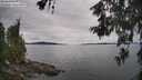 ./images/koeye/fitz-hugh/20260608/fitz-hugh20260608_141001M.jpg