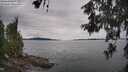 ./images/koeye/fitz-hugh/20260608/fitz-hugh20260608_141502M.jpg