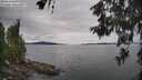./images/koeye/fitz-hugh/20260608/fitz-hugh20260608_142001M.jpg