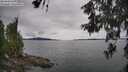 ./images/koeye/fitz-hugh/20260608/fitz-hugh20260608_142501M.jpg