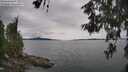 ./images/koeye/fitz-hugh/20260608/fitz-hugh20260608_143002M.jpg