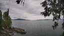 ./images/koeye/fitz-hugh/20260608/fitz-hugh20260608_144001M.jpg