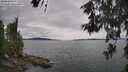 ./images/koeye/fitz-hugh/20260608/fitz-hugh20260608_144501M.jpg