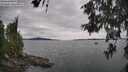 ./images/koeye/fitz-hugh/20260608/fitz-hugh20260608_145002M.jpg