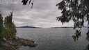 ./images/koeye/fitz-hugh/20260608/fitz-hugh20260608_145501M.jpg