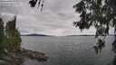 ./images/koeye/fitz-hugh/20260608/fitz-hugh20260608_150501M.jpg
