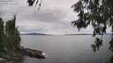 ./images/koeye/fitz-hugh/20260608/fitz-hugh20260608_152002M.jpg