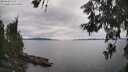 ./images/koeye/fitz-hugh/20260608/fitz-hugh20260608_152501M.jpg