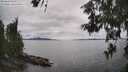 ./images/koeye/fitz-hugh/20260608/fitz-hugh20260608_153001M.jpg
