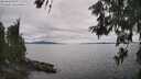 ./images/koeye/fitz-hugh/20260608/fitz-hugh20260608_153501M.jpg