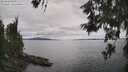 ./images/koeye/fitz-hugh/20260608/fitz-hugh20260608_154001M.jpg