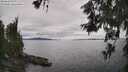 ./images/koeye/fitz-hugh/20260608/fitz-hugh20260608_154501M.jpg