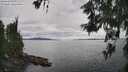 ./images/koeye/fitz-hugh/20260608/fitz-hugh20260608_155001M.jpg