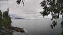 ./images/koeye/fitz-hugh/20260608/fitz-hugh20260608_160501M.jpg