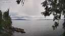 ./images/koeye/fitz-hugh/20260608/fitz-hugh20260608_161501M.jpg