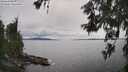 ./images/koeye/fitz-hugh/20260608/fitz-hugh20260608_162001M.jpg