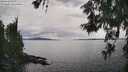 ./images/koeye/fitz-hugh/20260608/fitz-hugh20260608_165501M.jpg