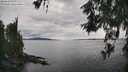 ./images/koeye/fitz-hugh/20260608/fitz-hugh20260608_170501M.jpg